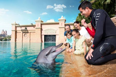 Dolphin meet and greet at Atlantis Dubai