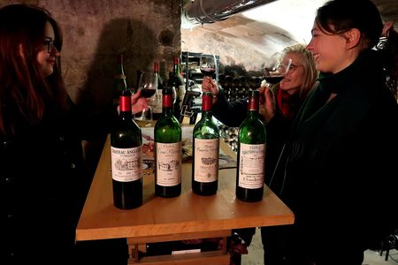 Bordeaux old vintages wine tour with tastings