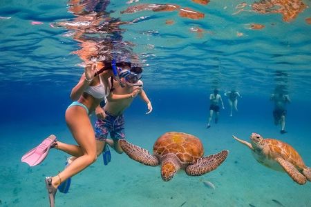 Oahu ultimate circle island tour