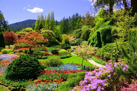 Sightseeing tour of Victoria and Butchart Gardens from Vancouver