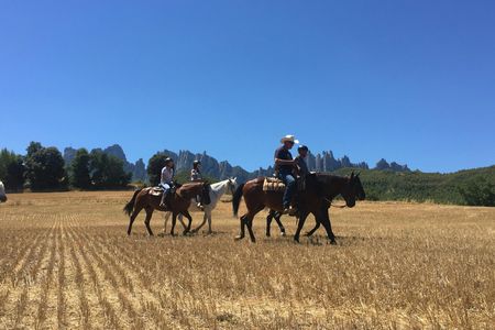Montserrat hiking and horse riding experience from Barcelona