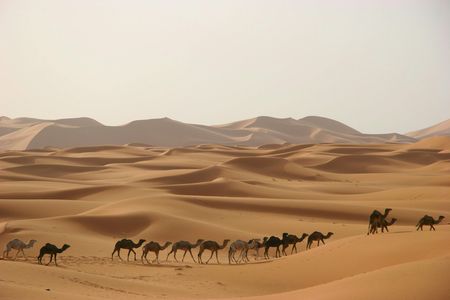 Fes to Marrakech 3-days and 2-night desert tour