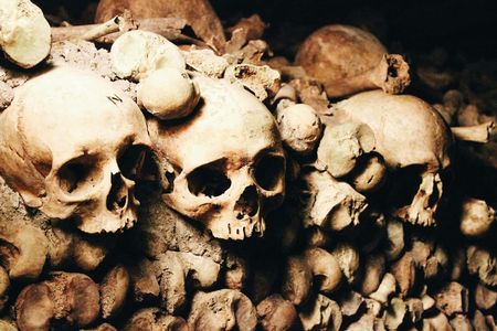 Catacombs of Paris skip-the-line tickets with audio tour on mobile app