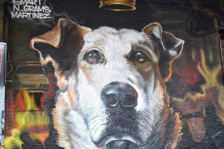 Private guided walking tour of Athens' street art and culture