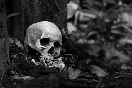 The Ghosts of Key West family friendly tour