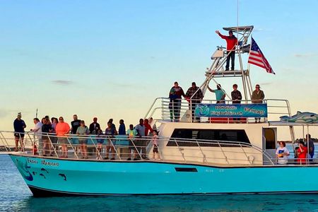 Frisky Mermaid dolphin tour at Pensacola Beach