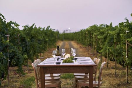 Karpima wine tasting in Kos
