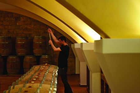 'Echo wine tasting in Kos