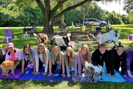 Goat Yoga Class with Mimosa and Farm Tour in Houston