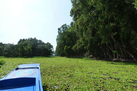 Ho Chi Minh and Hanoi 6-day guided tour from Hanoi