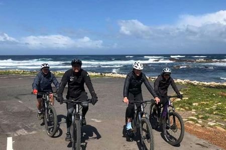 E-bike tour to Cape Point National Park