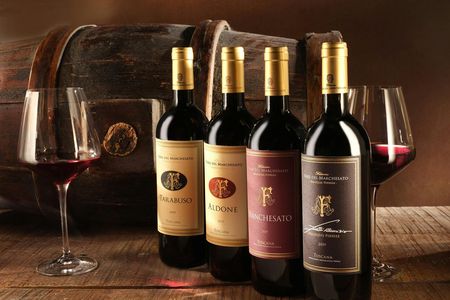 Premium wine tasting at Terre del Marchesato winery