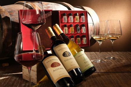 Sensory wine tasting at Terre del Marchesato winery
