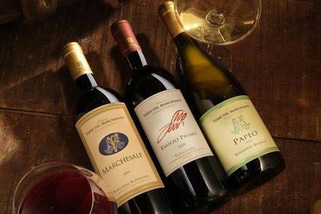 Classic wine tasting at Terre del Marchesato winery