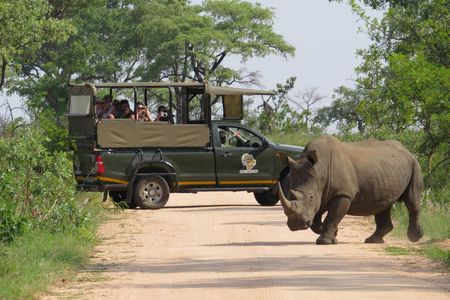 Kruger National Park morning private safari