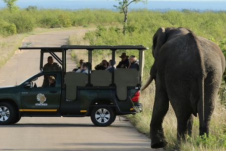 Kruger National Park full-day private safari