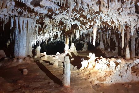 Cave tour with local guide in Bonaire