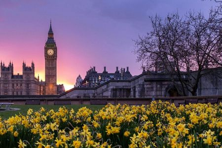Full-day best of London private group car guided tour