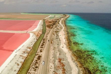 North and South Guided Tour of Bonaire