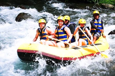 Half-day White water rafting adventure on the Ayung river