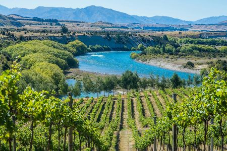 Wanaka boutique wine tour