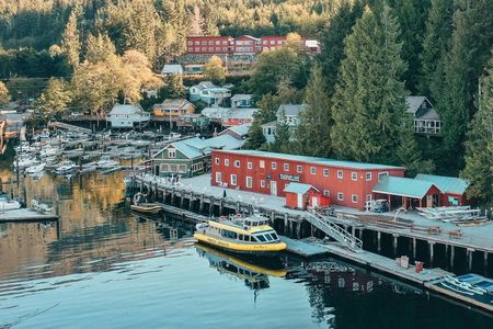 Premier half-day whale watching tour in Telegraph Cove