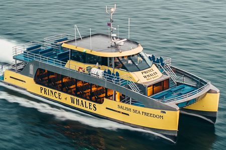 Half-day whale watching from Vancouver