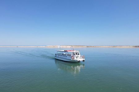 Boat tour to Ria Formosa Natural Park from Olhão