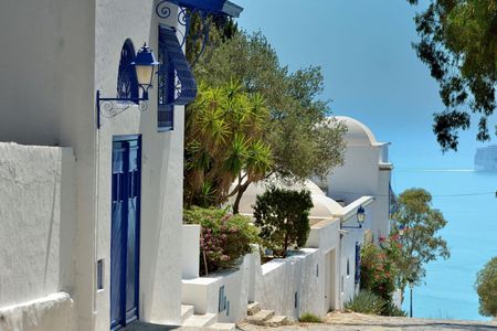Carthage and Sidi Bou Said guided tour from Hammamet and Nabeul