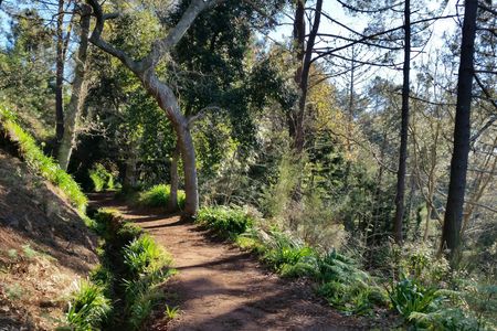 Paradise Valley hiking tour in Madeira