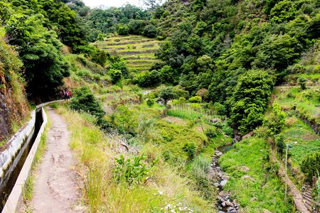 Maroços to Mimosa Valley guided hiking tour in Madeira