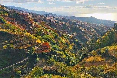Levada do Norte guided hiking tour in Madeira