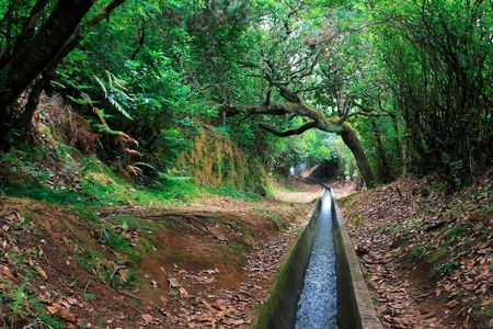 Levada do Furado hiking tour from Ribeiro Frio to Portela
