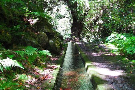 Hidden corners of King's Levada hiking tour