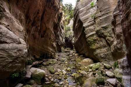 Akamas half-day jeep safari tour from Paphos