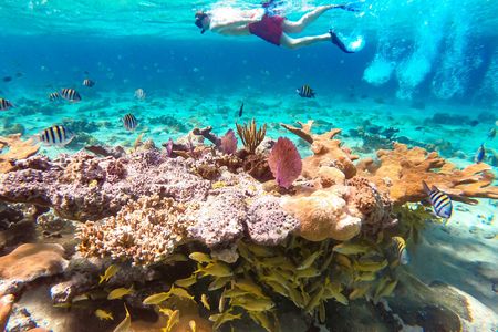 Pearl Island beach escape tour with lunch and snorkeling
