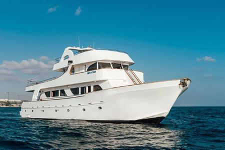 Sea and fun half-day cruise from Paphos