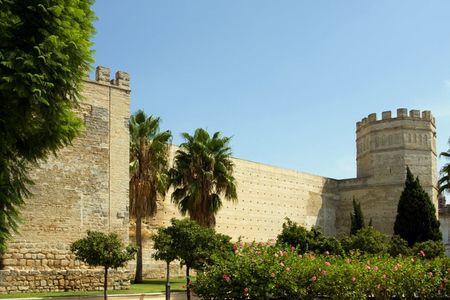 Monumental Jerez walking tour with Mudejar Alcazar and Cathedral tickets
