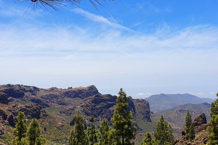 Hiking tour of the Kestrel canyon in Gran Canaria