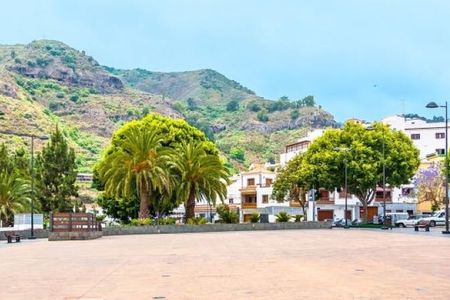 Walking tour of the Gran Canaria markets