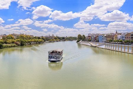 Seville boat tour of the Guadalquivir