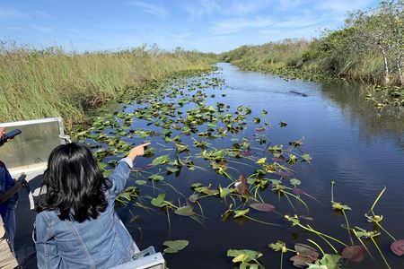 Everglades National Park airboat tour with pick-up from Miami