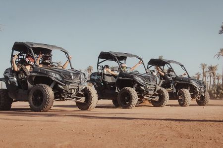 Marrakech Palm Grove buggy tour with Moroccan tea break