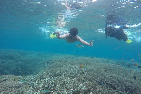 Blue Paradise Nusa Penida tour from Bali