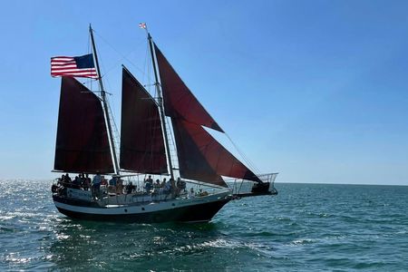 Day sailing experience with a gaff-rigged schooner in Tampa Bay