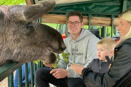 Moosesafari by carriage near Helsingborg