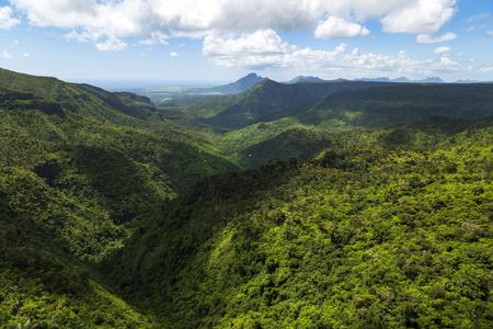 Mauritius Black River Gorges hike