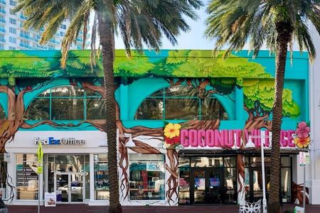 Miami Coconut Grove Downtown guided tour