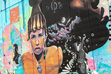Miami Overtown guided tour