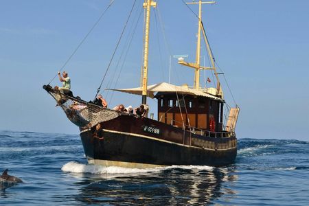 Bussard Classic 4 hour excursion